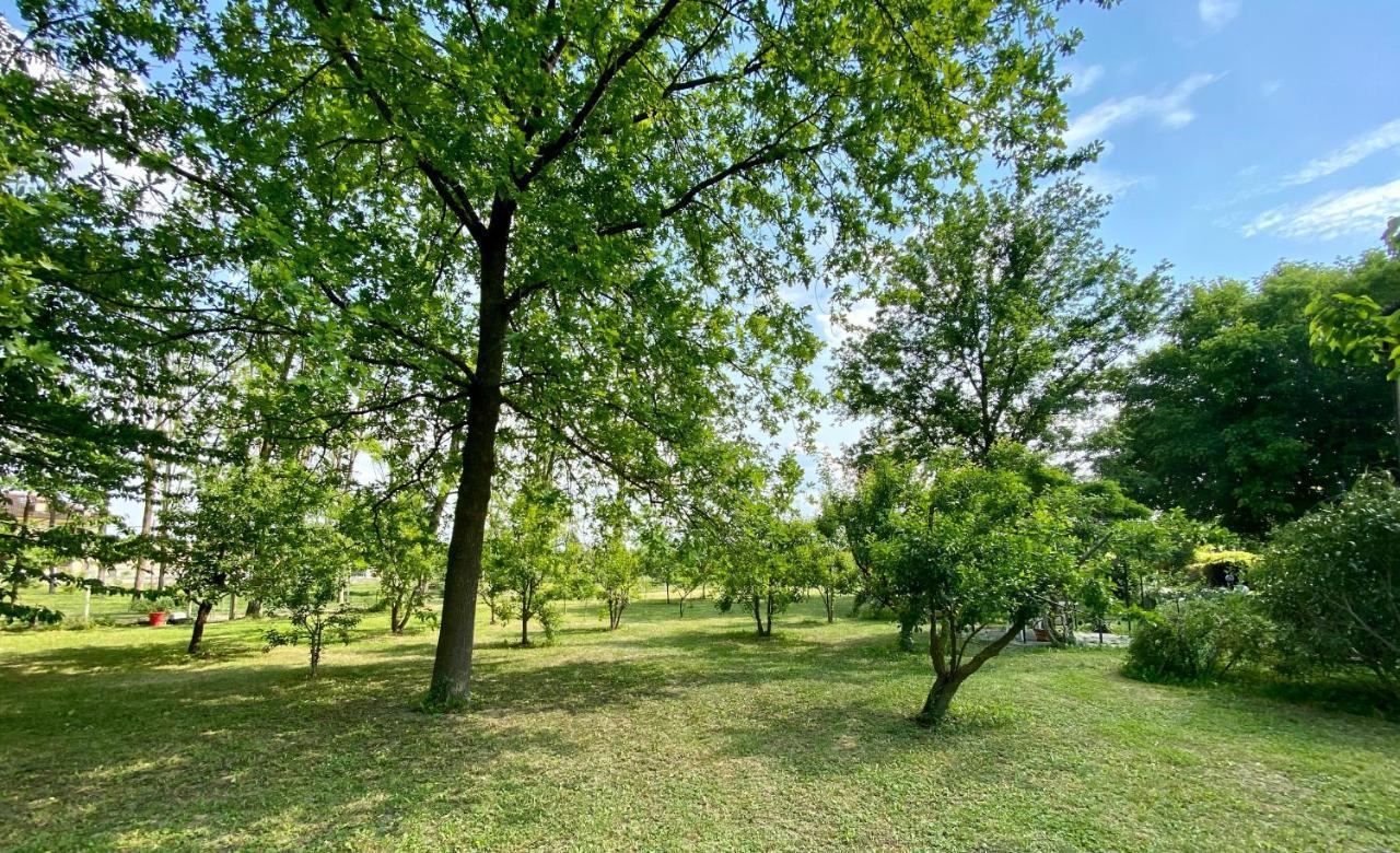 Locanda Del Molino Vecchio Magliano Alfieri Экстерьер фото
