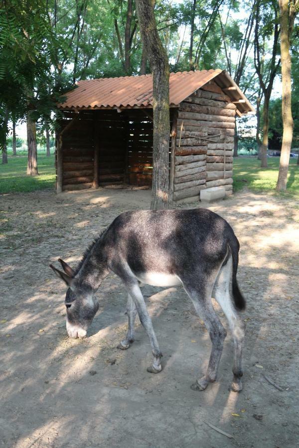 Locanda Del Molino Vecchio Magliano Alfieri Экстерьер фото